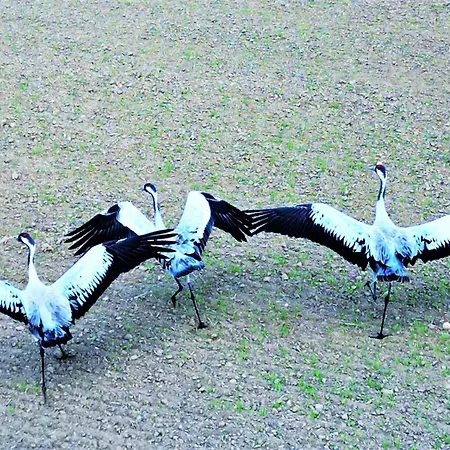 Marina Blue - Super Widok Z Wlasnego Ogrodka Na Jezioro, Parking, Netflix I Max